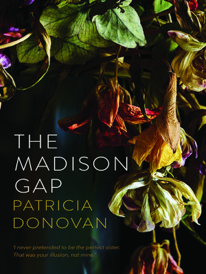 cover image of The Madison Gap